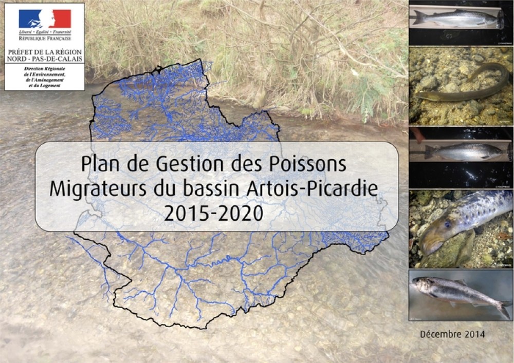 [Publication] Plan de gestion des poissons migrateurs du bassin Artois-Picardie 2015-2020 - DREAL Nord - Pas-de-Calais