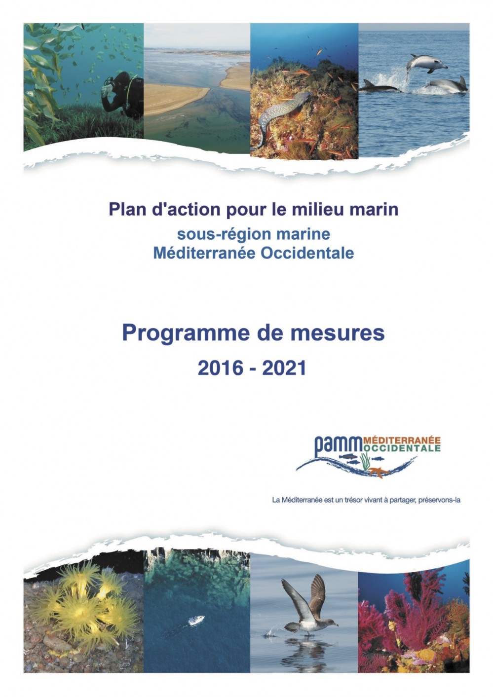 [Publication] Plan d'action pour le milieu marin - M&eacute;diterran&eacute;e occidentale - PDM 2016-2021