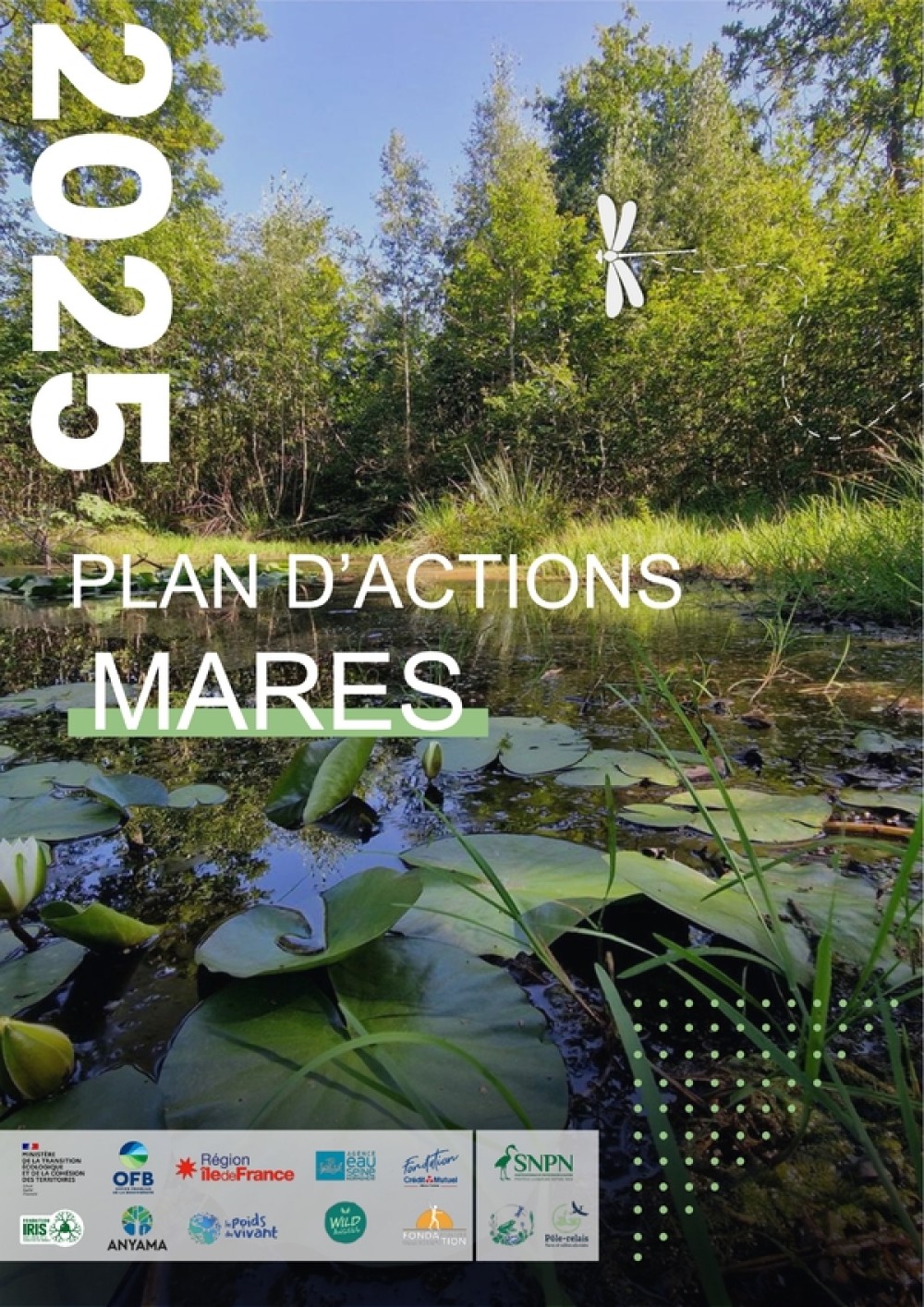 [Publication] Plan d'actions mares 2025