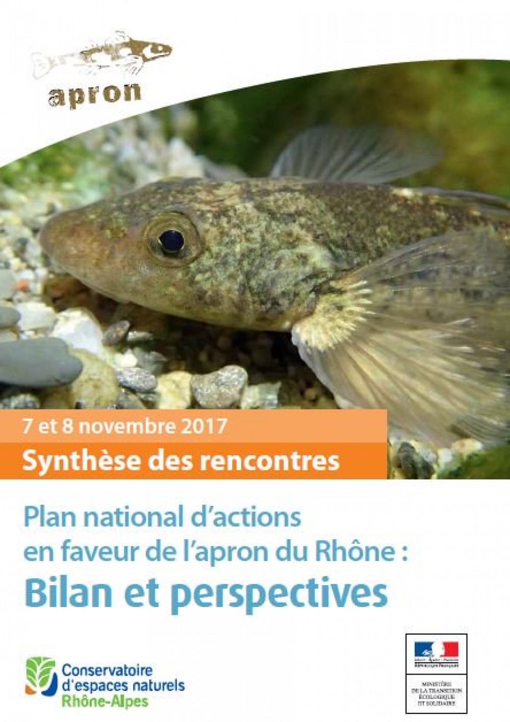 [Publication] Synthèse des journées bilan du Plan National d'Actions en faveur de l'apron du Rhône : bilan et perspectives