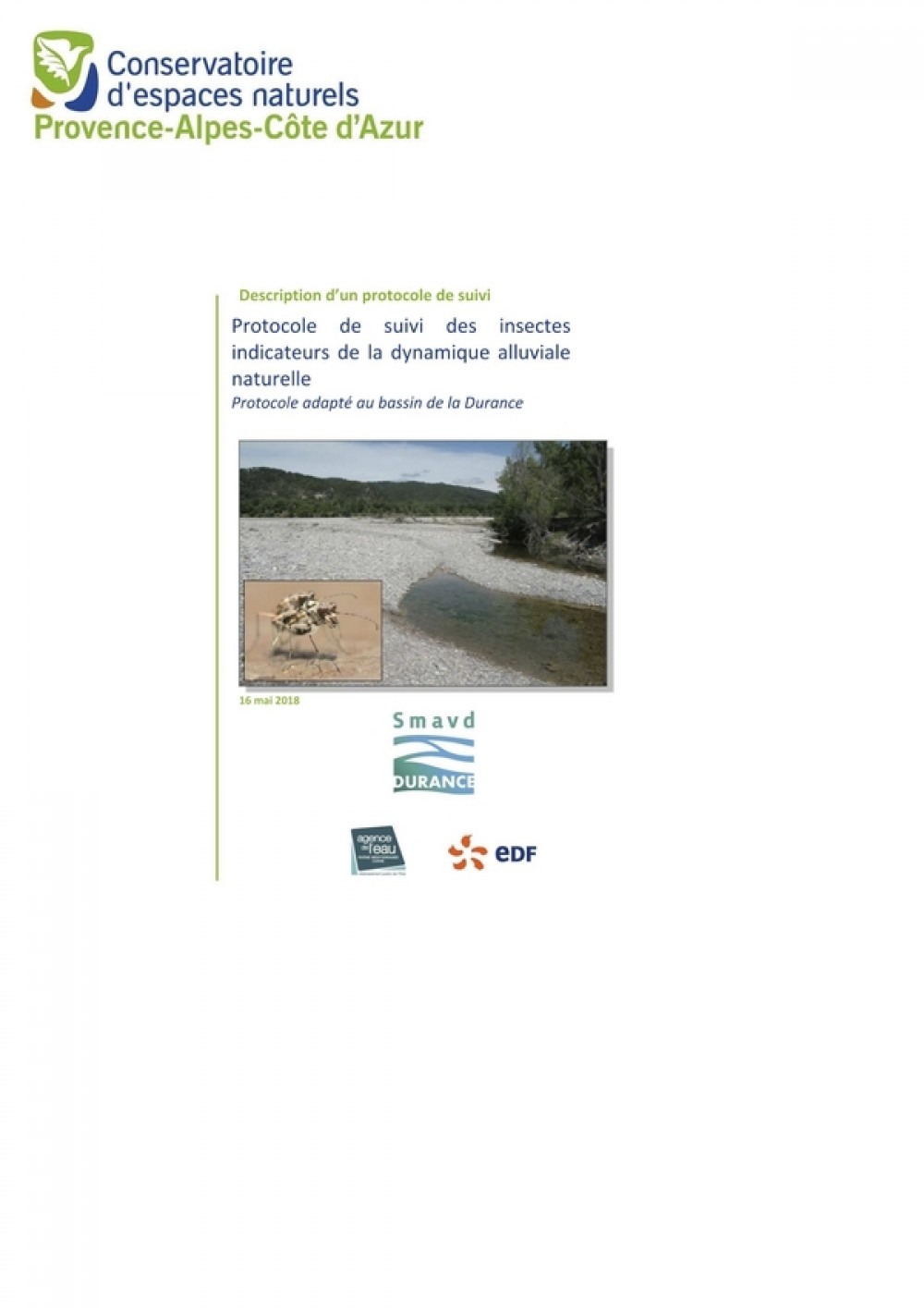 [Publication] Protocole de suivi des insectes indicateurs de la dynamique alluviale naturelle - Observatoire Régional Eau et Milieux Aquatiques en PACA