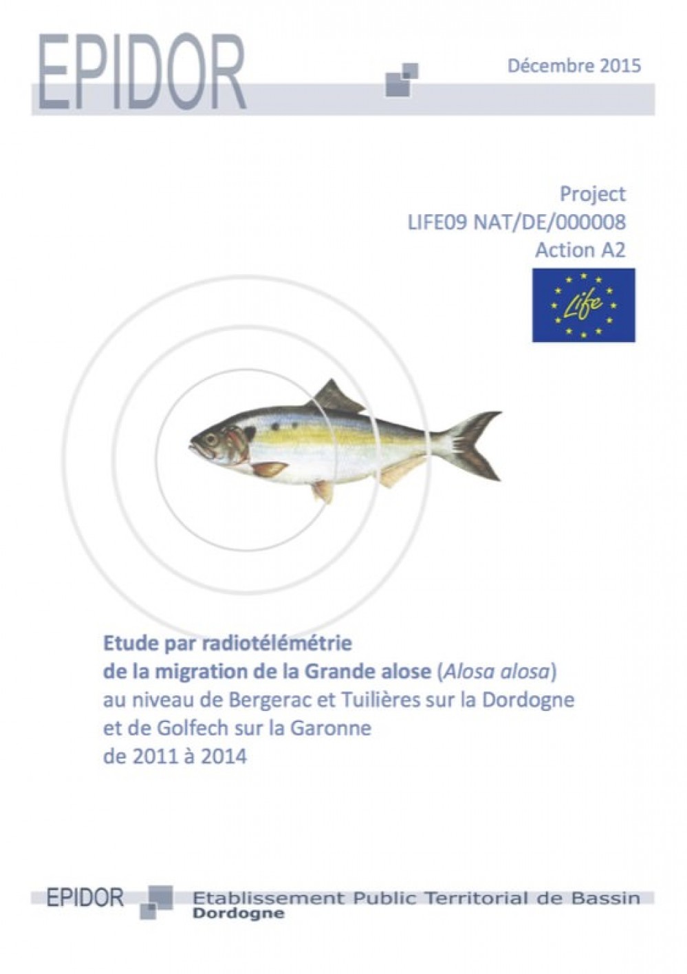 [Publication] Etude par radiotélémétrie de la migration de la grande alose - EPIDOR