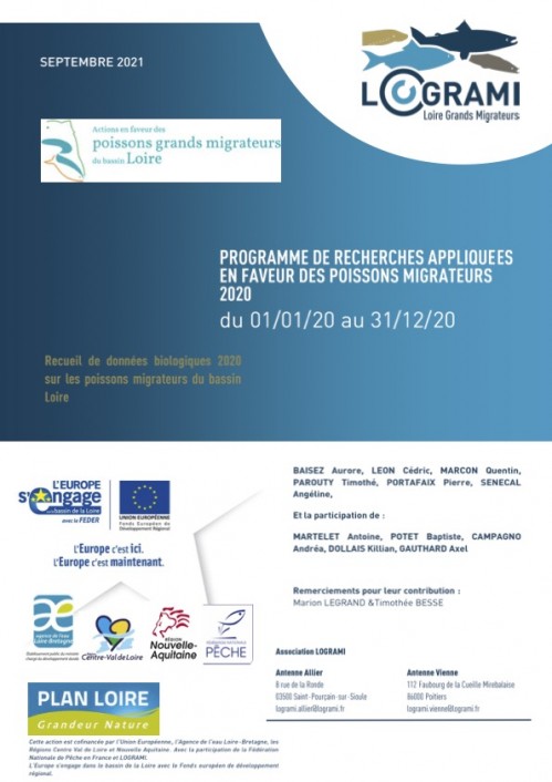 [Publication] Rapport 2020 sur le suivi des poissons migrateurs de Loire