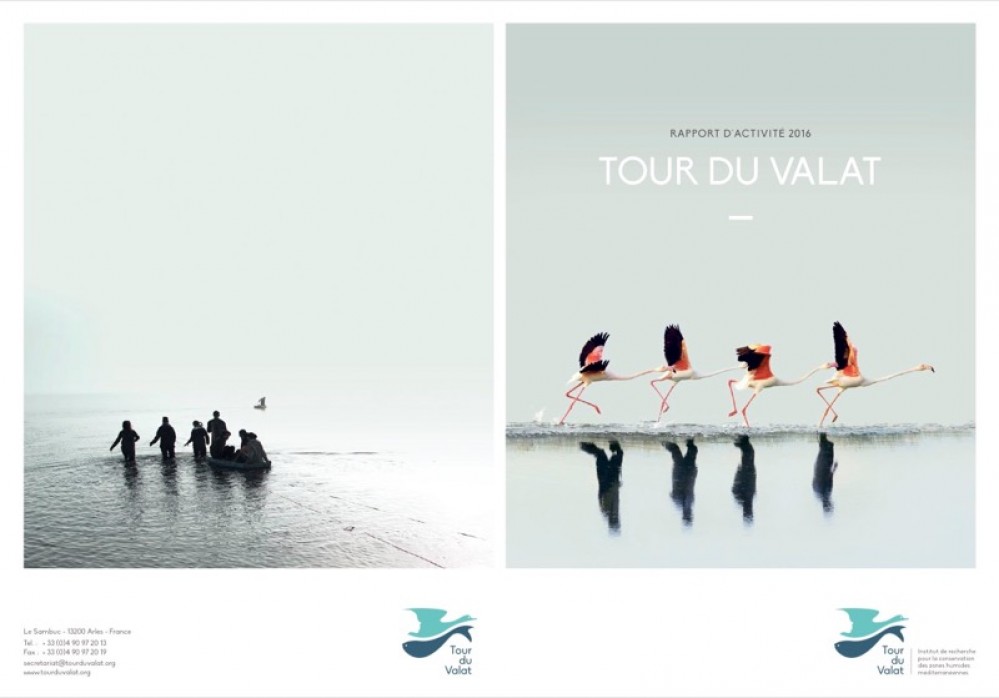 [Publication] Tour du Valat, rapport d'activité 2016