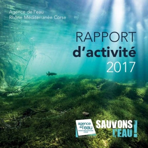 [Publication] Rapport d'activité 2017 - Agence de l'eau RMC