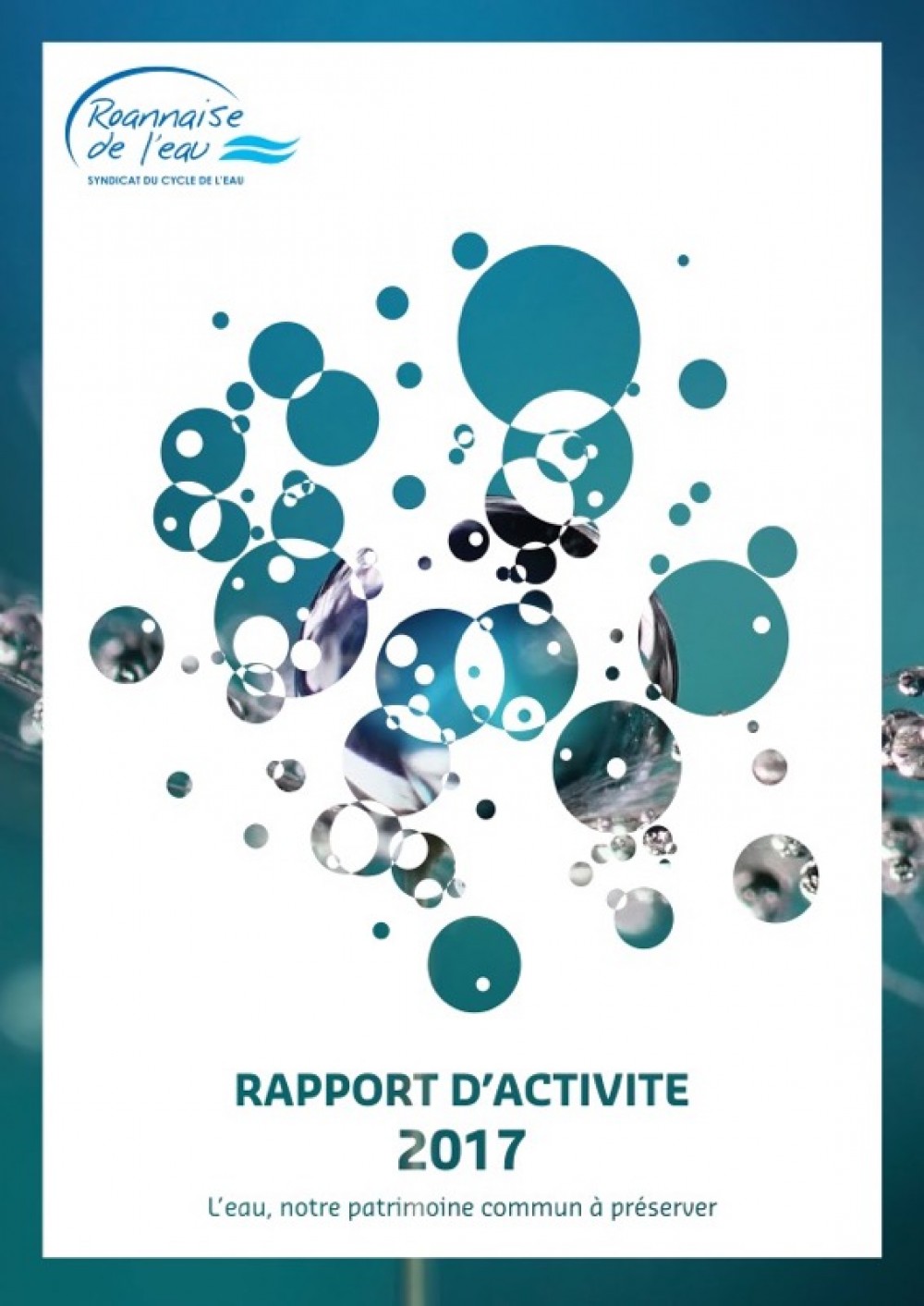 [Publication] Rapport d'activité 2017 - Roannaise de l'eau