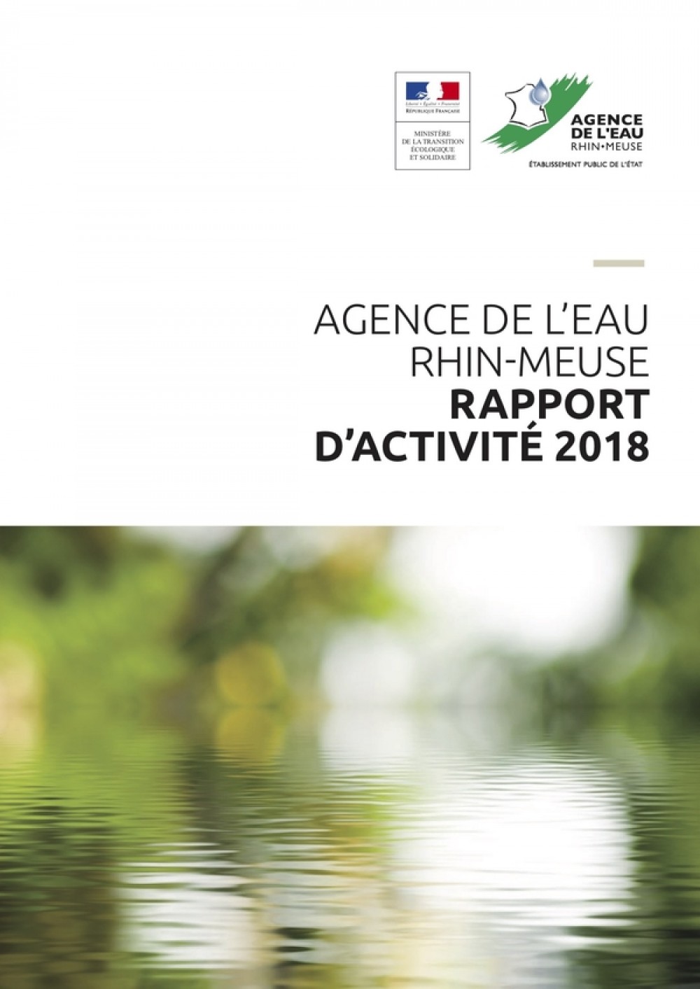 [Publication] Rapport d'activité 2018 - Agence de l'Eau Rhin-Meuse