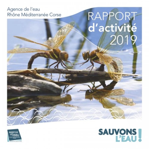 [Publication] Rapport d'activité 2019 - Agence de l'eau Rhône Méditerranée Corse