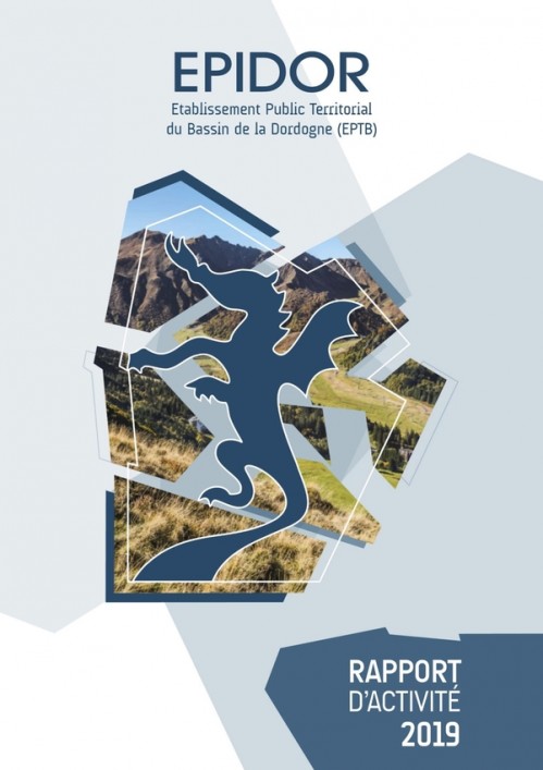 [Publication] Rapport d'activité 2019 - EPIDOR