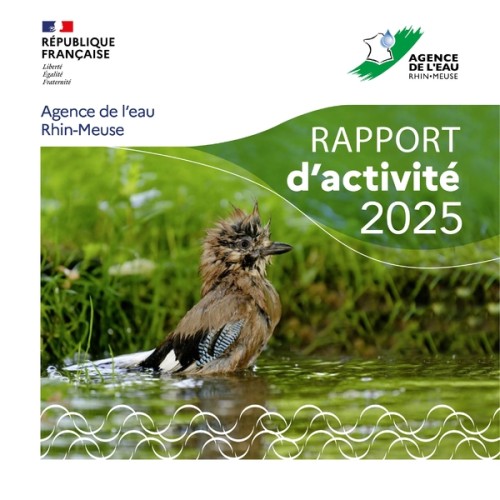 [Publication] Rapport d'activité 2025 - Agence de l'eau Rhin-Meuse