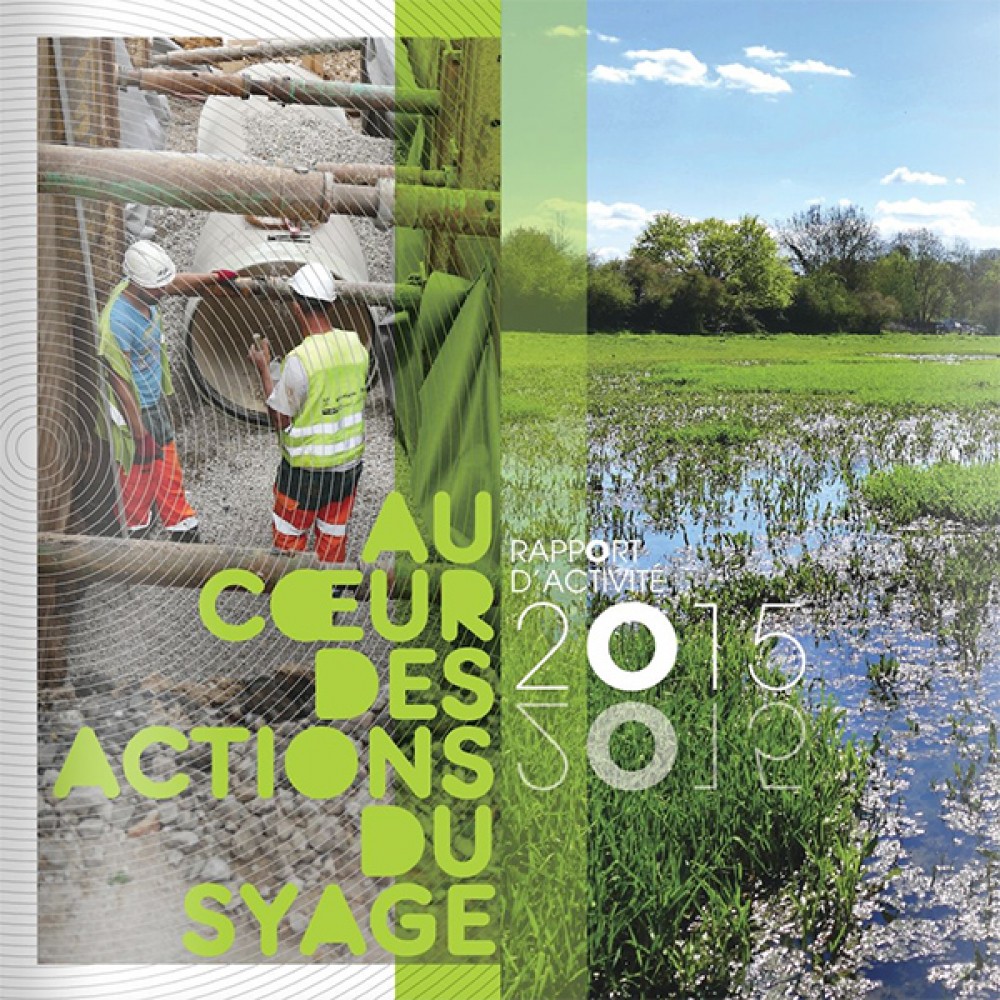 [Publication] Rapport D'activité 2015 - SyAGE
