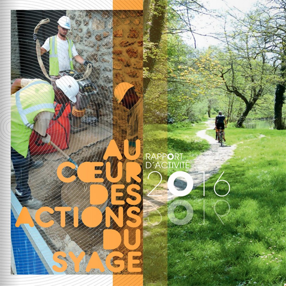[Publication] Rapport d'activité 2016 du SyAGE