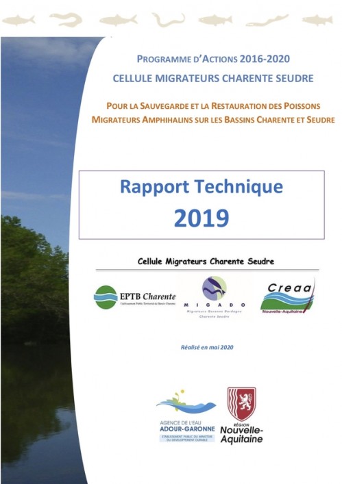[Publication] Rapport bilan Migrateurs Charente Seudre 2019