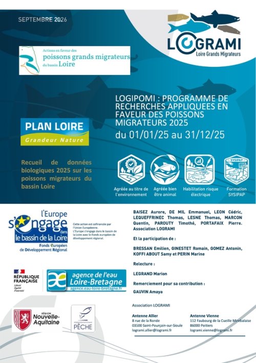 Logrami, le rapport 2025 est en ligne