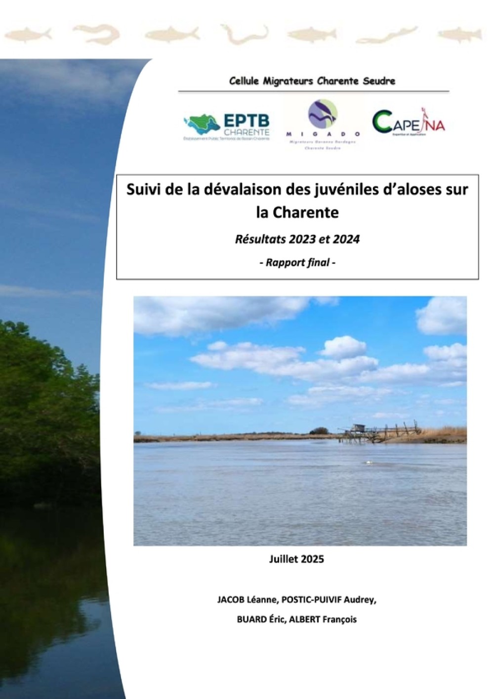 [Publication] Suivi de la dévalaison des juvéniles d'aloses sur la Charente 2023  2024