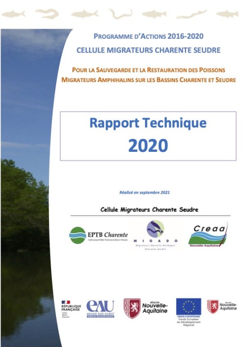 [Publication] Rapport technique 2020 de la Cellule Migrateurs Charente Seudre