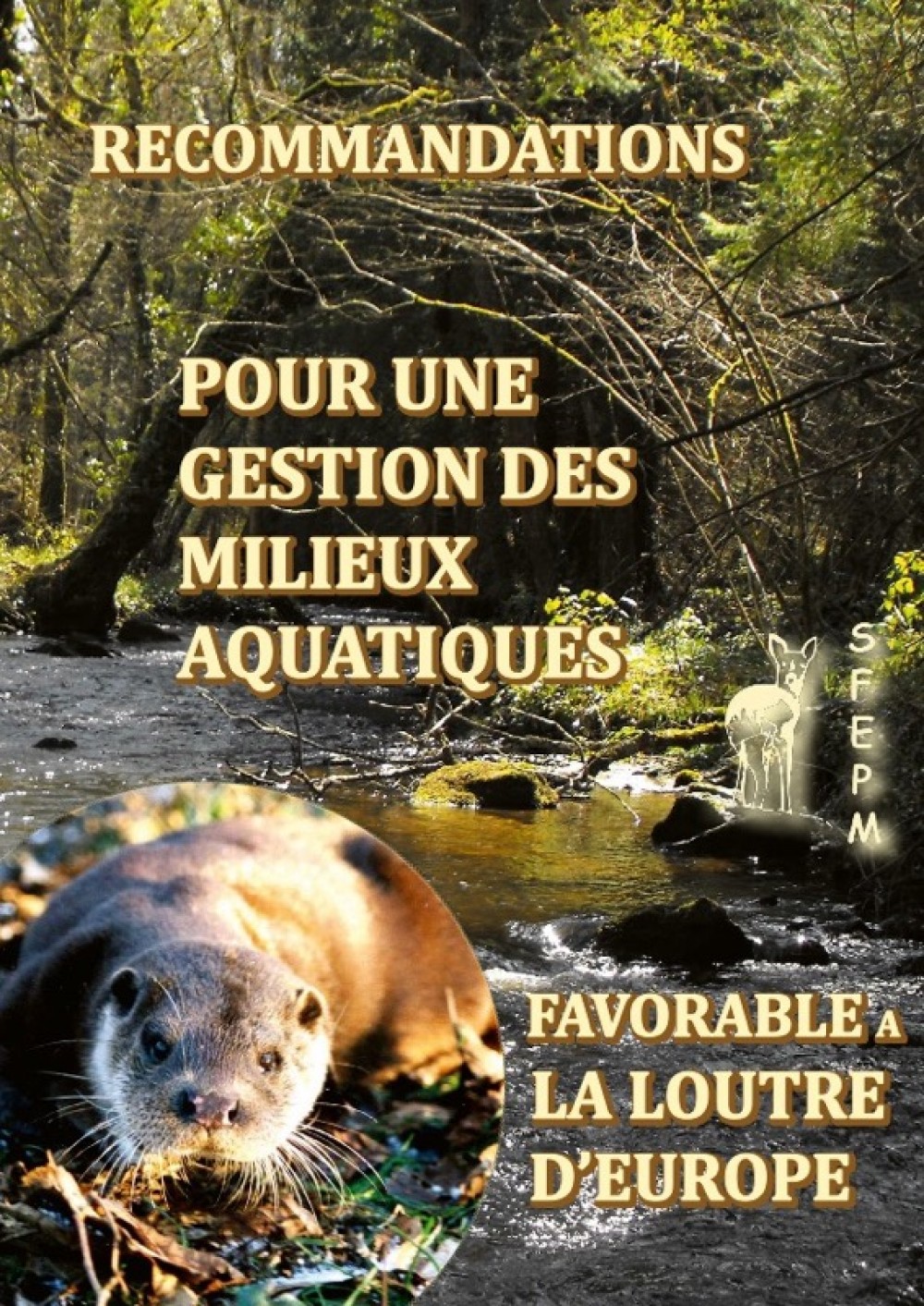 [Publication] Recommandations pour une gestion des milieux aquatiques favorable à la loutre d'Europe