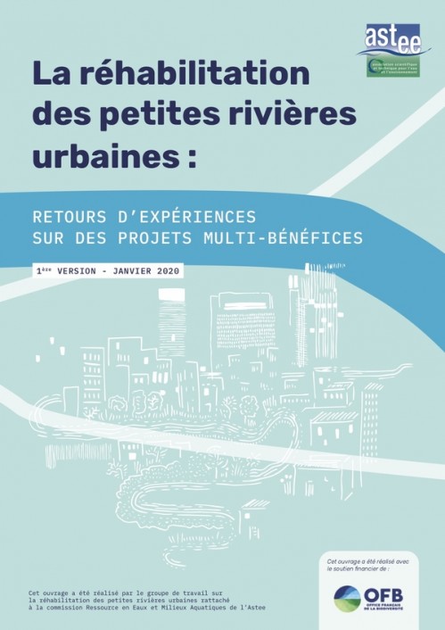 [Publication] La Réhabilitation des petites rivières urbaines : retours d’expériences sur des projets muti-bénéfices - Astee