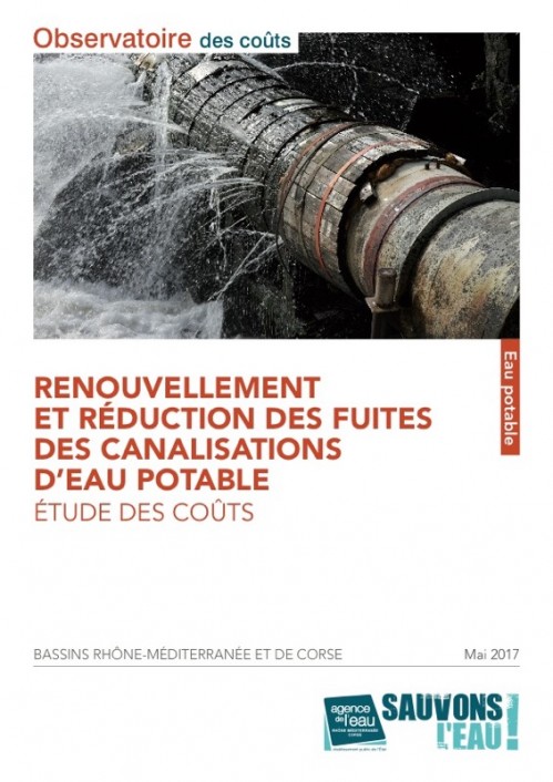[Publication] Renouvellement et réduction des fuites des canalisations d'eau potable : étude des coûts