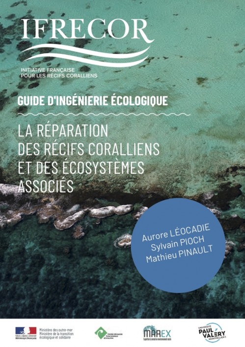 [Publication] Guide sur les techniques d’ingénierie écologique pour réparer les écosystèmes