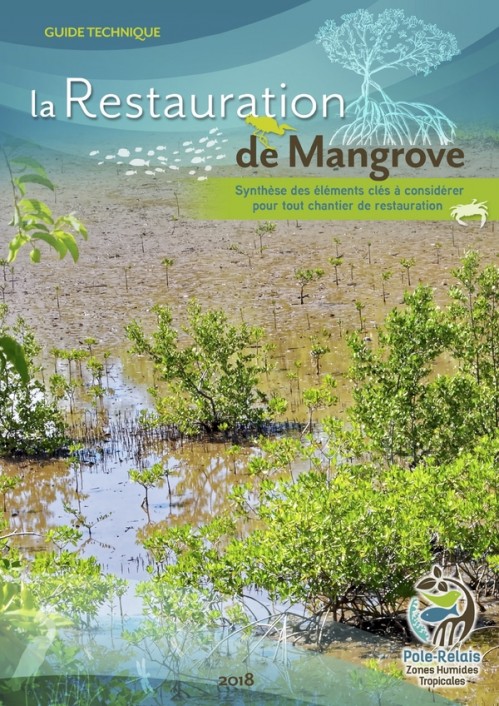 [Publication] Restauration de mangrove : synthèse des éléments clés à considérer pour tout chantier de restauration