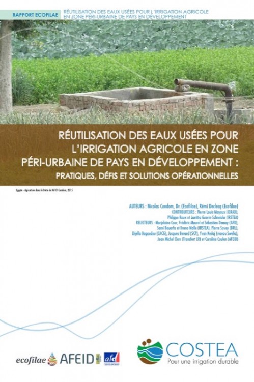 [Publication] Réutilisation des eaux usées pour l’irrigation agricole en zone péri-urbaine de pays en développement - COSTEA-Ecofilae