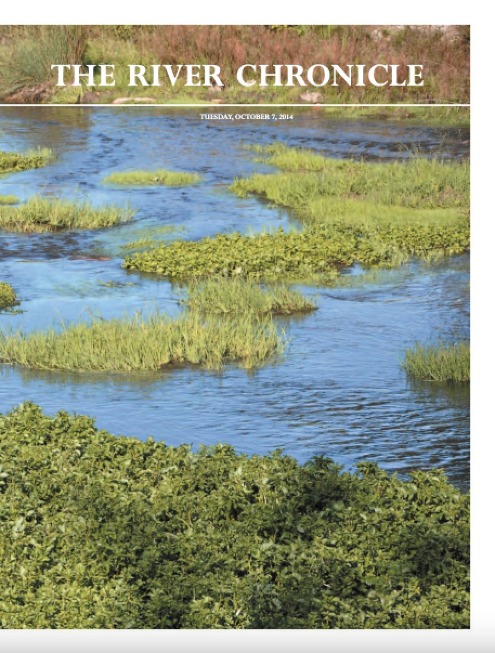 [Publication] The River Chronicle, publication sur la renaturation de la rivière l'Aire à Genève