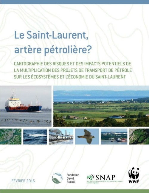 [Publication] Le Saint-Laurent, artère pétrolière ?