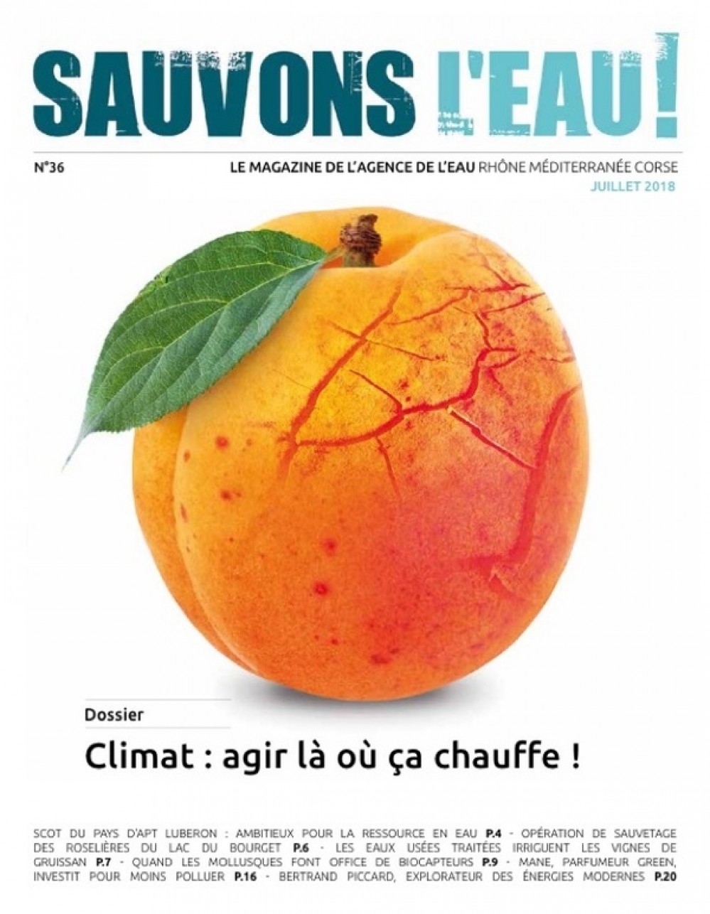 [Publication] Sauvons l'eau, le magazine de l'Agence de l'eau RMC