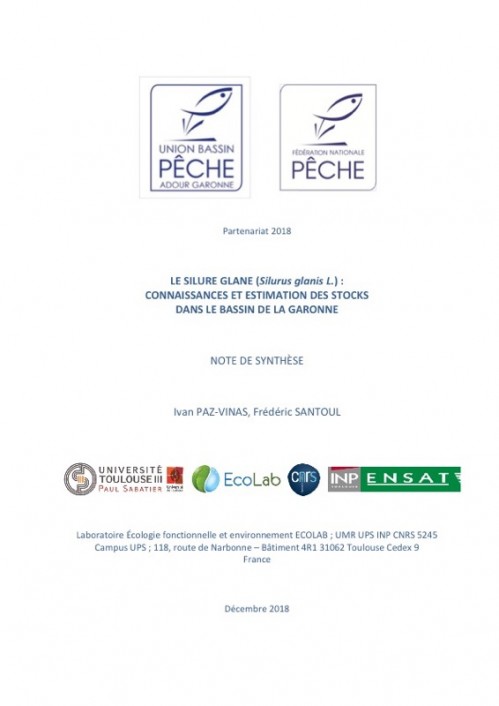 [Publication] Le silure glane : connaissances et estimation des stocks dans le bassin de la Garonne