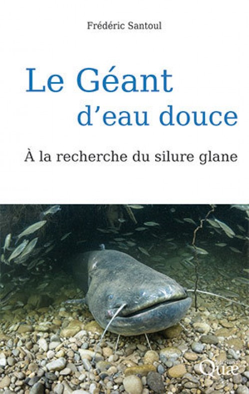[Publication] Le Géant d'eau douce - À la recherche du silure glane