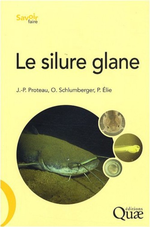 [Publication] Le silure glane : Biologie, écologie, élevage