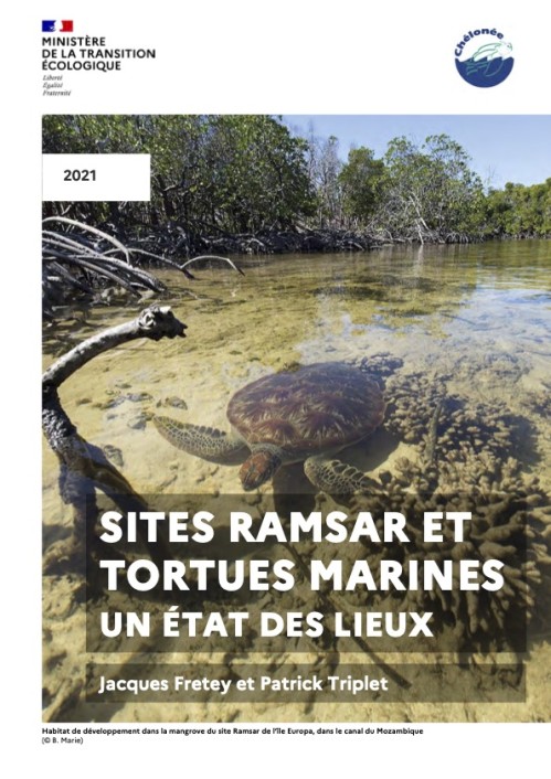 [Publication] Les zones humides d’importance internationale et la protection des tortues marines : un rapport d’experts (2e édition)