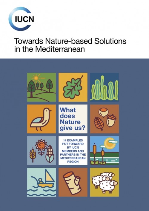 [Publication] Nouveau rapport sur les Solutions basées sur la nature en Méditerranée - Tour du Valat