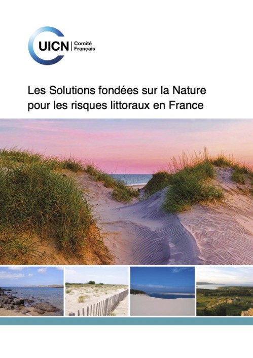 [Publication] Les Solutions fondées sur la Nature pour la réduction des risques littoraux en France