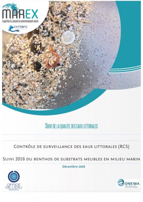 [Publication] La Réunion - Suivi 2016 du benthos de substrats meubles en milieu marin