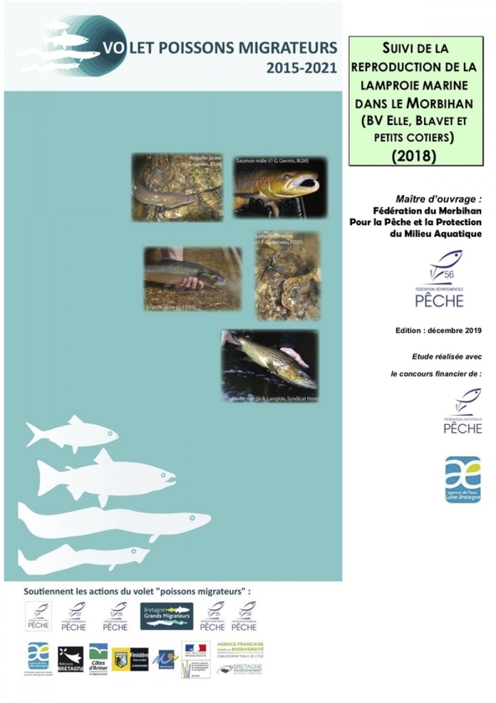 [Publication] Volet poissons migrateurs 2015-2021 : Suivi de la reproduction de la Lamproie marine dans le Morbihan (BV Ellé, Blavet et Petits côtiers) 2018