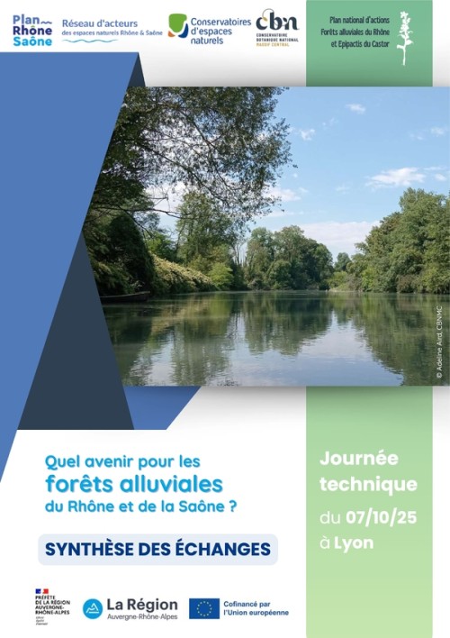 [Publication] Quel avenir pour les forêt alluviales du Rhône et de la Saône ?