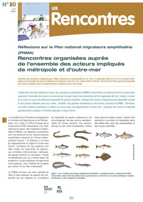 [Publication] Les Rencontres n° 79 : Plan de gestion et réseaux de suivi - Après dix ans d'efforts, il faut (toujours) sauver l'anguille européenne - Pôle lagunes