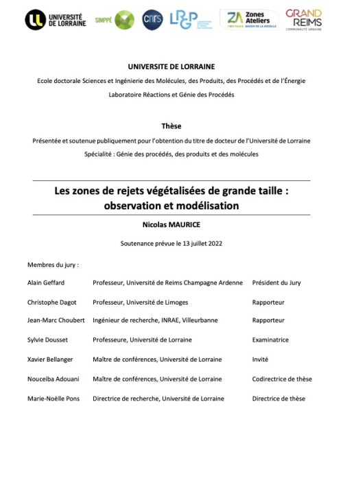 [Publication] Thèse - Les zones de rejet végétalisées de grande taille : observation et modélisation