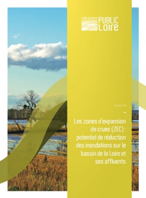 [Publication] Les zones d'expansion de crues : potentiel de réduction des inondations sur le bassin de la Loire et ses affluents